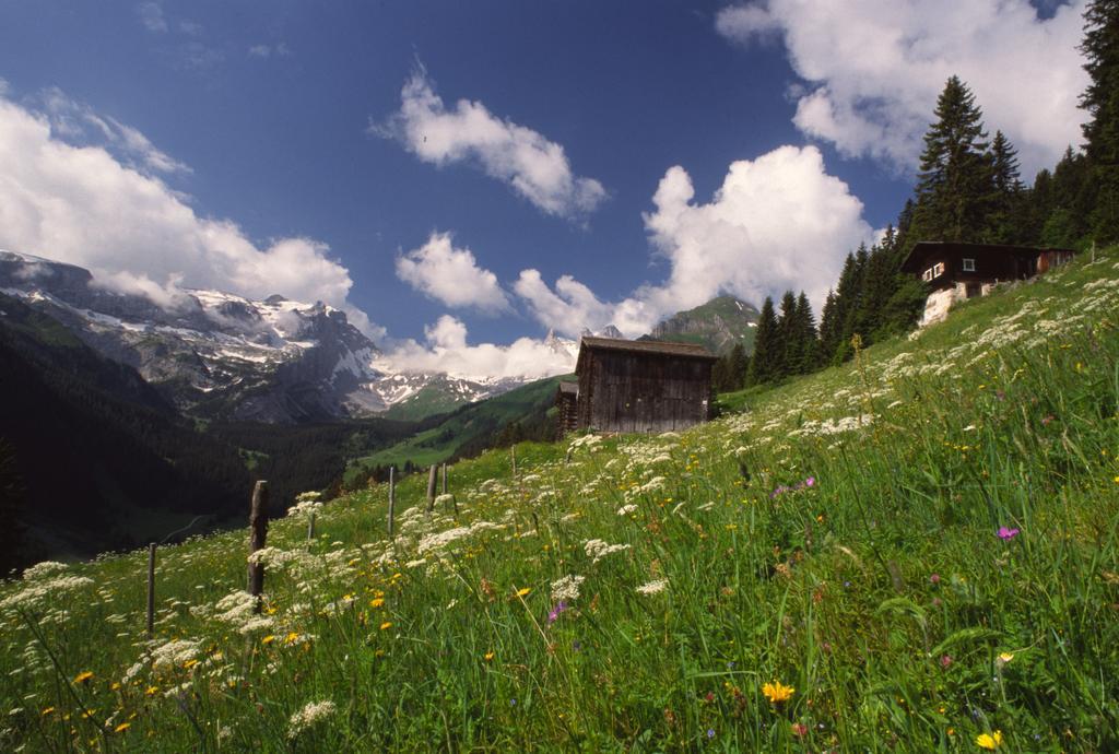 Hotel Montabella Schruns Exterior foto